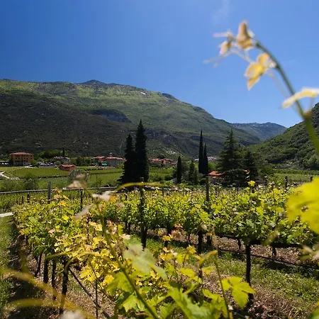 Bed & Breakfast Maso Lizzone Dro