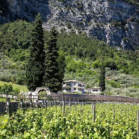 Bed & Breakfast Maso Lizzone